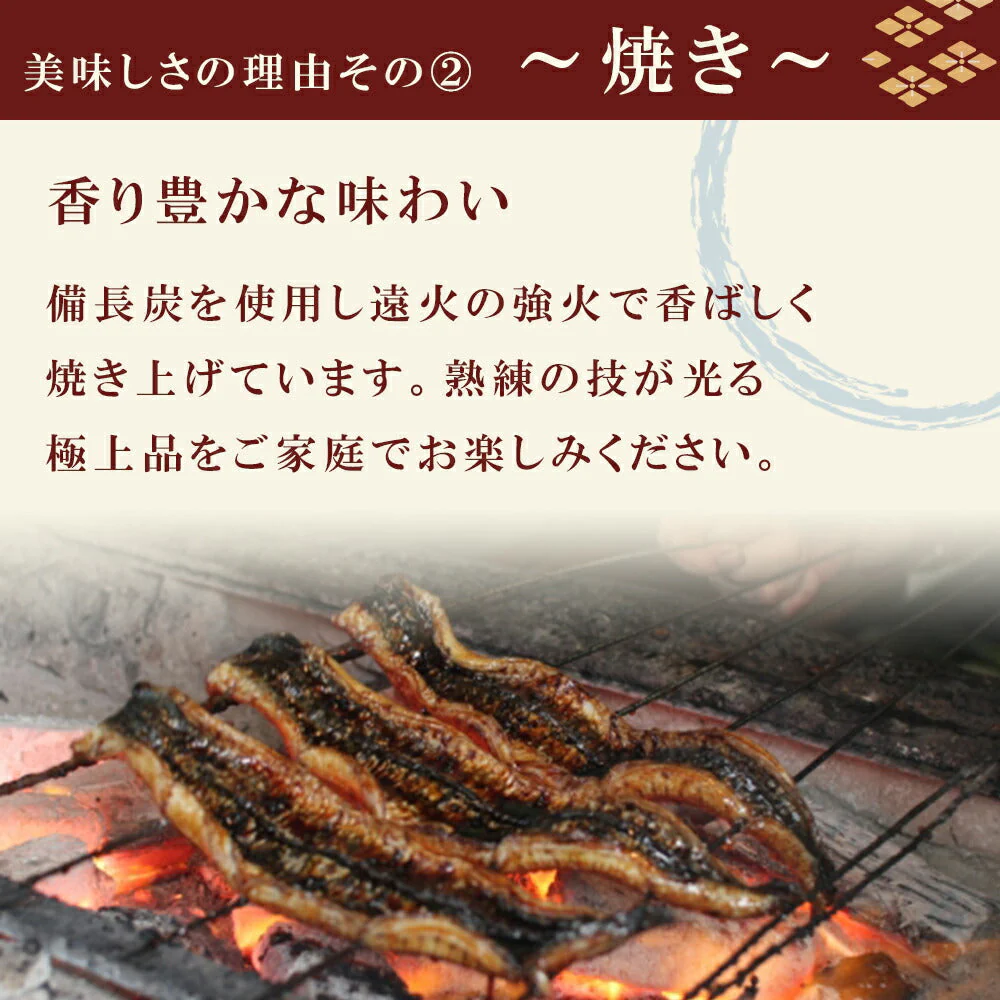 鹿児島産うなぎ蒲焼2尾セット