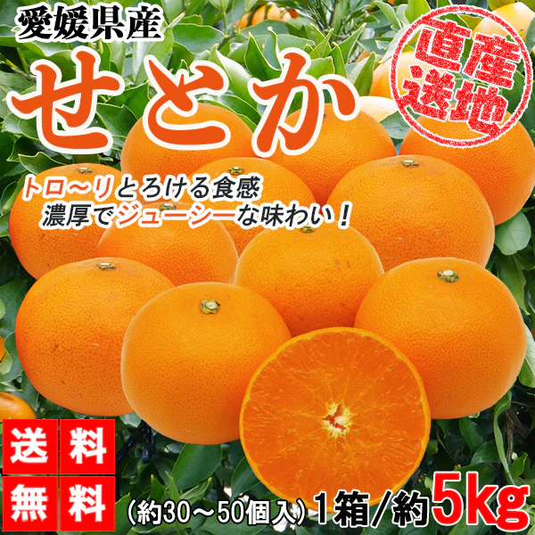 せとか みかん 5kg ミカン 蜜柑 サイズミックス 柑橘 フルーツ 果物 くだもの 箱買い 産地直送 愛媛県産 YDF-019
