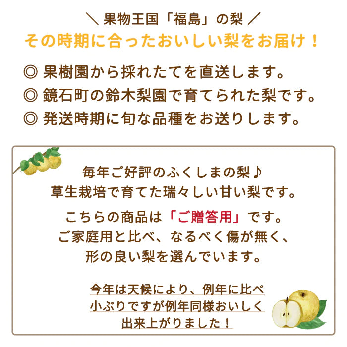 福島県産 梨 3kg  (4～7個入) 贈答用 鏡石町 *【特産品・ご当地特集】