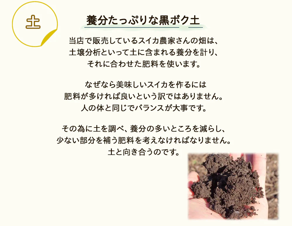 【予約販売7月下旬より順次出荷】尾花沢スイカ １玉 山形県産 4L 5L スイカ すいか 送料無料 ギフト お取り寄せ 産地直送  kkb-008