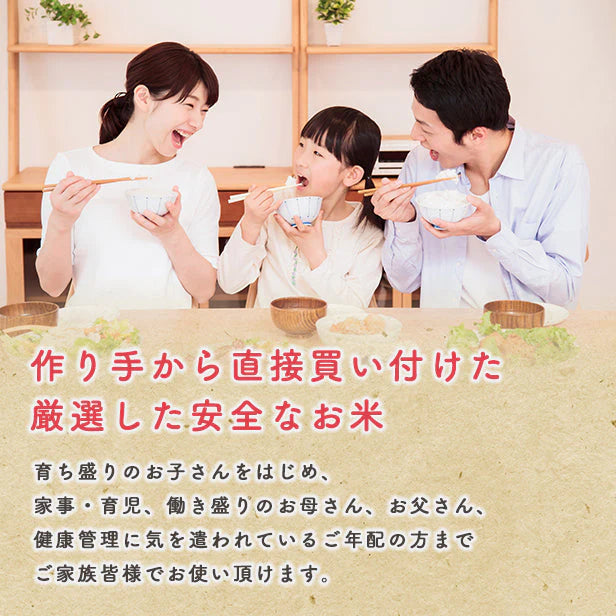 【精米10kg】令和4年産　秋田県産　あきたこまち10kg (5kg×2袋)　一等米　厳選　送料無料　　米びつ当番【天鷹唐辛子】プレゼント付き【ゲリラセール】