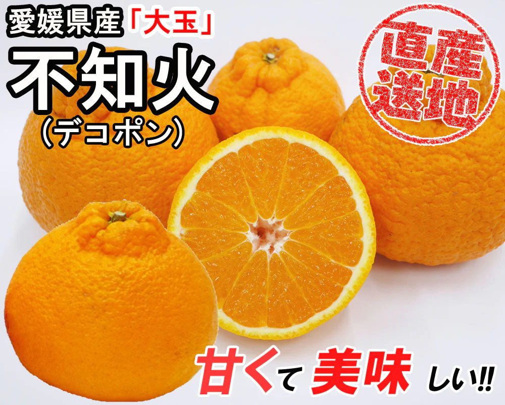 不知火 (デコポン) 5kg 大玉 送料無料 ご家庭用 箱買い みかん 柑橘 フルーツ 果物 産地直送 愛媛県産  YDF-009