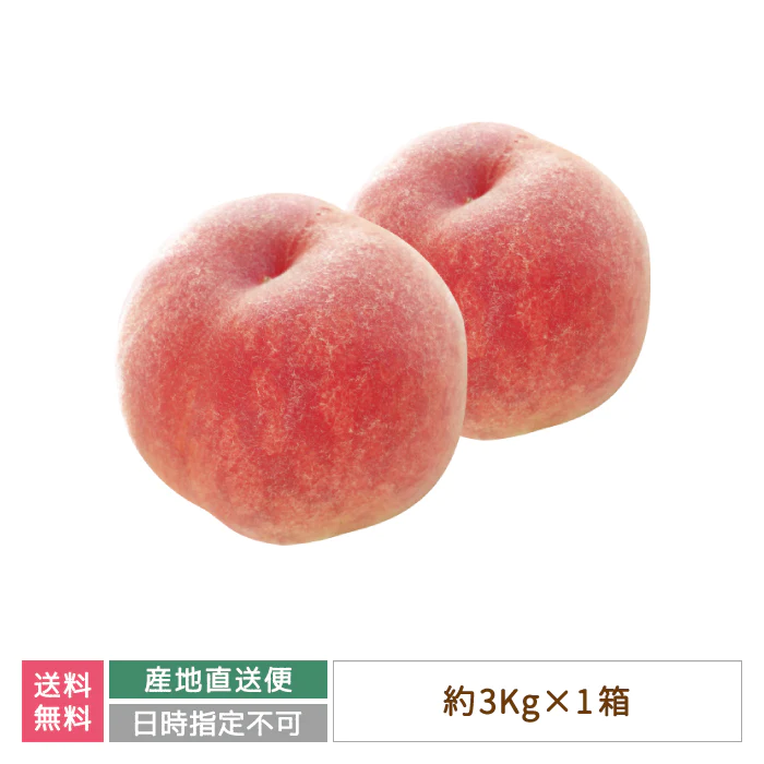 福島県産 桃 約3kg (11?12玉入り) ※収穫状況による変動あり