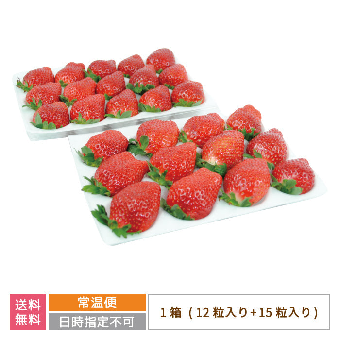 福島県産 いちご「甘園房～あまえんぼう」DX－01 1箱  (12粒入り+15粒入り) 通常便*【特産品・ご当地特集】