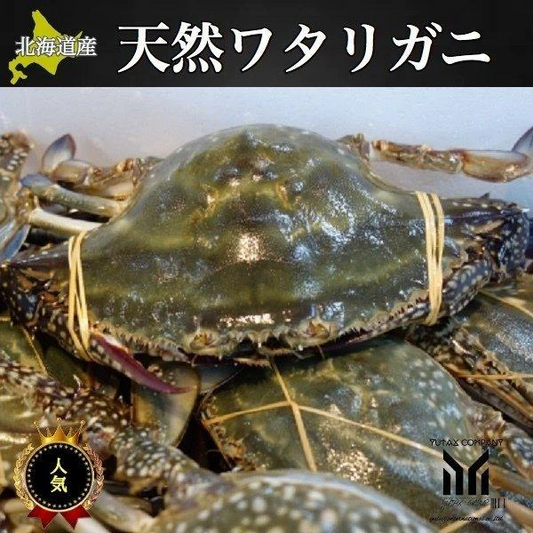 北海道産  内子入り　ワタリガニ　1㎏