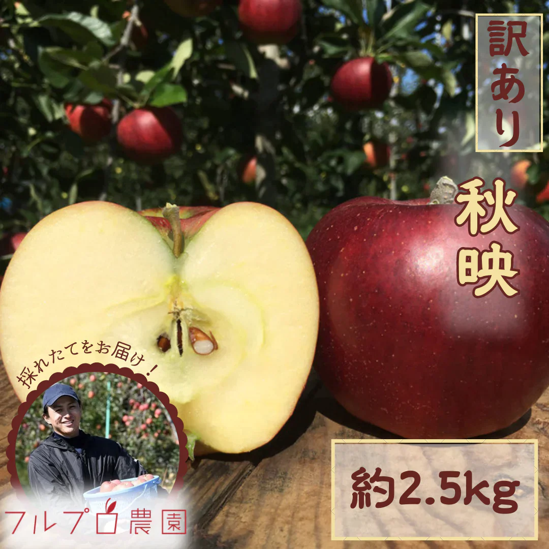 【2023年産予約開始！】秋映 訳あり 約2.5kg(7‐14玉)  シャキッと歯ごたえ！信州りんご  #YAA0B025