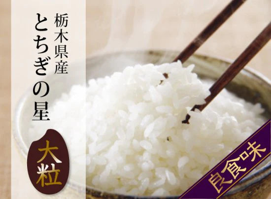 新米　とちぎの星　栃木県4年産　5ｋｇ　大粒