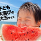 【100人シェア買い企画】衝撃BIGサイズ！スイカ 訳あり ジャンボスイカ 熊本県産 すいか 1玉（約6.8kg前後-約8kg前後）旬 の 果物 夏 キャンプ バーベキュー BBQ 食材 デザート 家庭用 自家用 フルーツ 果物