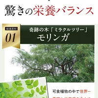 さくらの森 【公式】摘みたて青汁 30包 54g 約1ヵ月分 大麦若葉 青汁 モリンガ 国産抹茶 GABA 乳酸菌 国産 ケール 抹茶