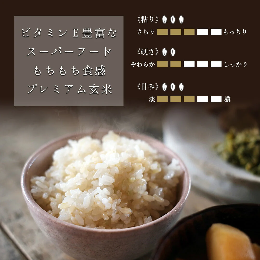 玄米 2kgと玄米ご飯パック 12個 (120g×12) 詰め合わせセット 宮城県産 金のいぶきごはん お米 おくさま印 食品 栄養 健康 レンジで簡単 温めるだけ レトルト ギフト 引っ越し 内祝い お中元 お歳暮 送料無料