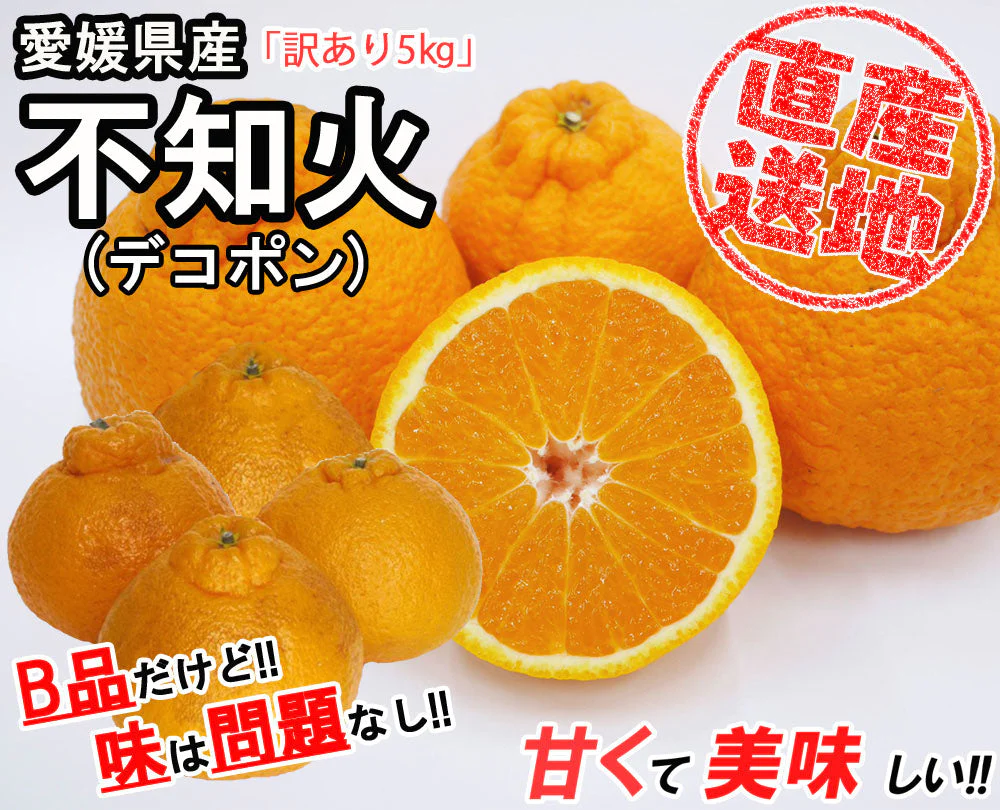 不知火 (デコポン) 訳あり 5kg 送料無料 ご家庭用 箱買い サイズミックス みかん 柑橘 フルーツ 果物 産地直送 愛媛県産  YDF-011
