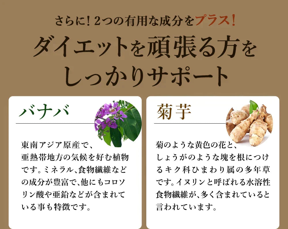 サラシアサプリ《3ヶ月分》 サプリメント ダイエット【ゲリラセール】