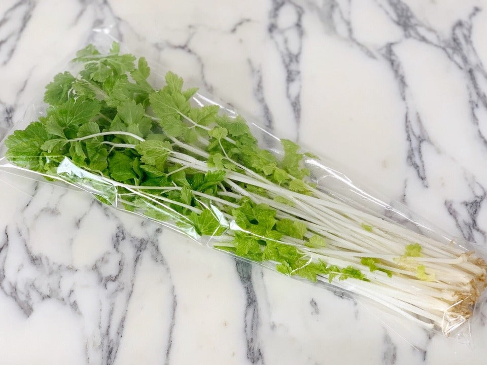 3~6品 京都伏見産ワクワク水耕野菜セット