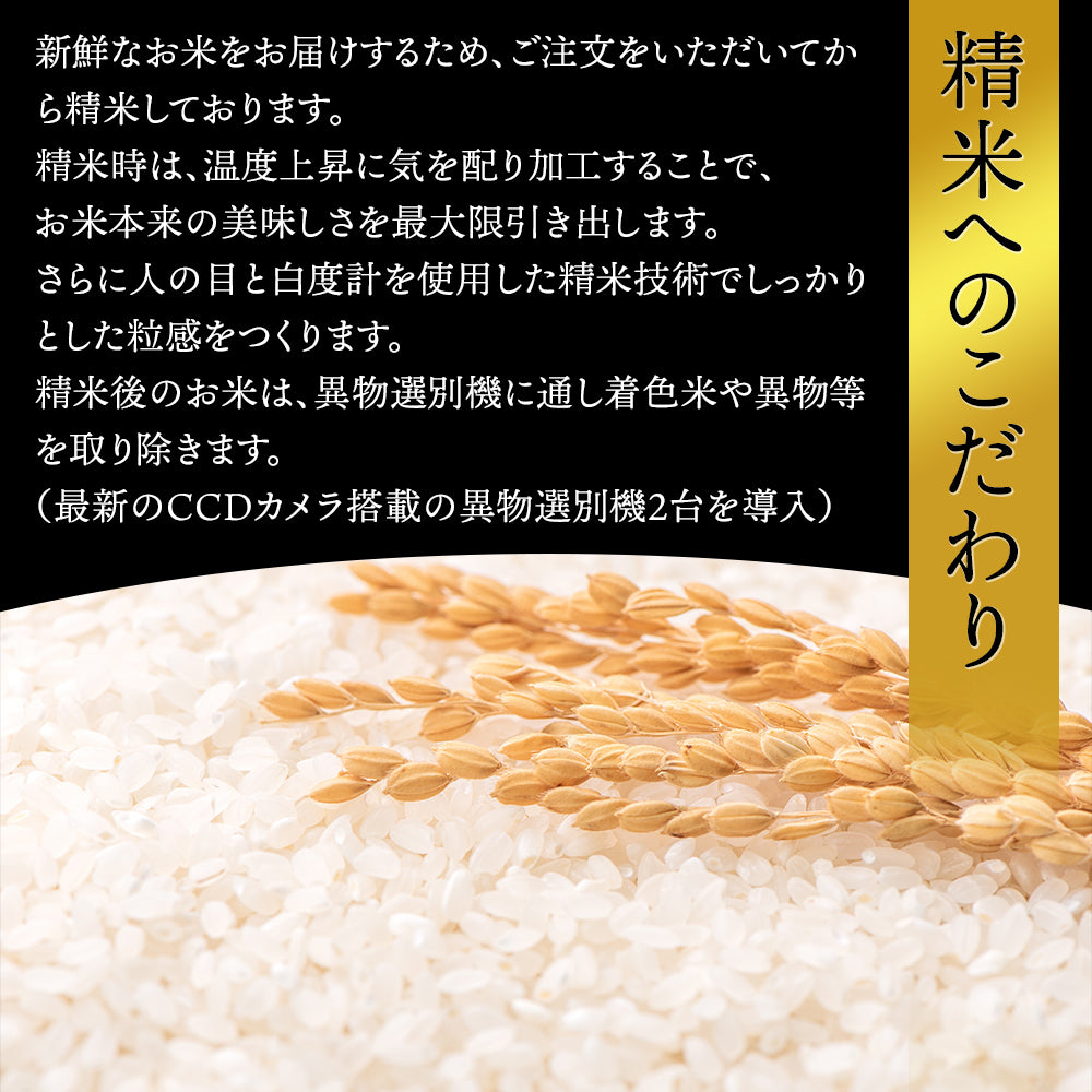 【5人シェア買いで5%OFF】雪若丸 10kg  令和3年 山形県産 送料無料【最安値に挑戦】