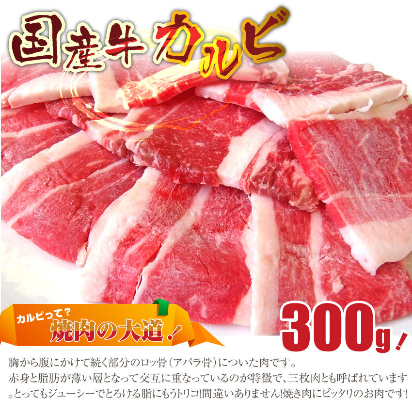 バーベキュー メガ盛り セット 冷凍たっぷり6～8人前 福袋 （ 総重量 2.1kg ）