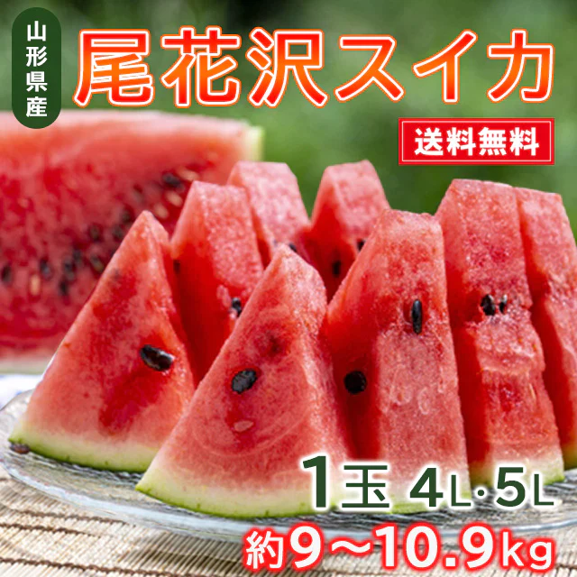 【予約販売7月下旬より順次出荷】尾花沢スイカ １玉 山形県産 4L 5L スイカ すいか 送料無料 ギフト お取り寄せ 産地直送  kkb-008