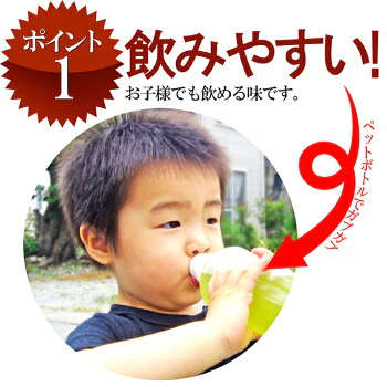 0.5g×50包×2袋 べにふうき茶 粉末スティック