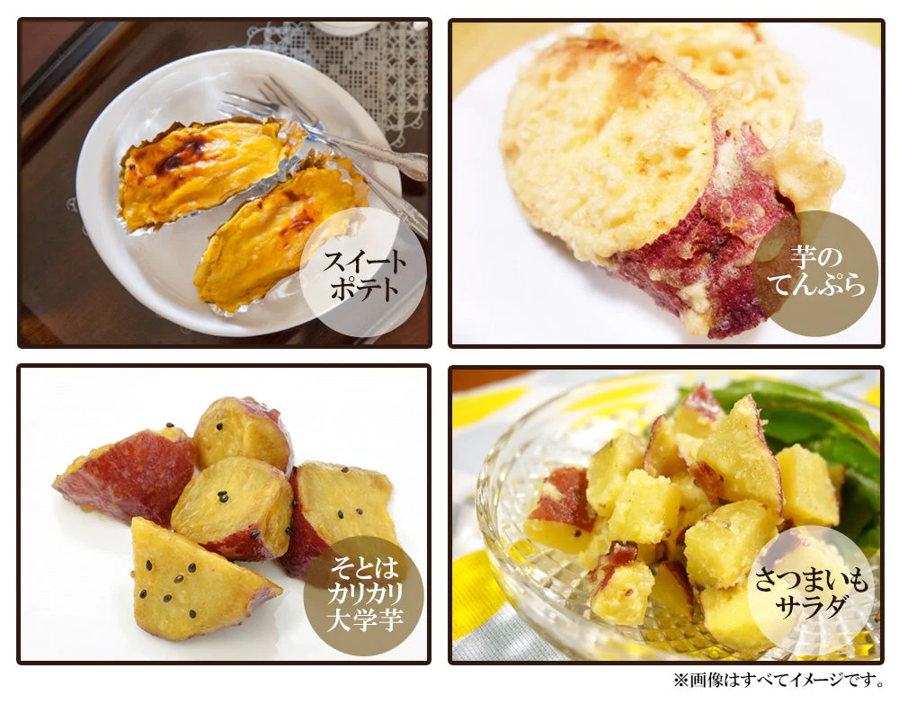 紅はるか さつまいも 5kg 送料無料 産地直送 産直 土付き さつま芋 薩摩芋 焼きいも 焼き芋 石焼き芋 芋 いも イモ 鹿児島県産 ngs-003