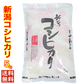 令和４年産 新潟県産コシヒカリ ５ｋｇ 1等米使用 出荷日前1週間以内の精米日の白米です