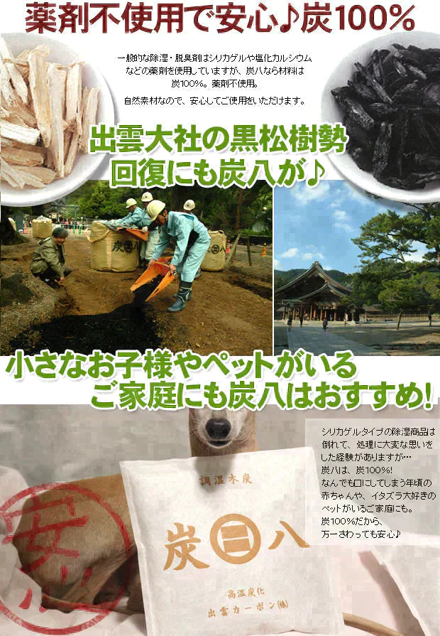 調湿木炭 炭八 スマート小袋 2個入【エコ得】【家計お助けSALE】