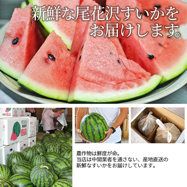 【7月下旬発送】 尾花沢 スイカ 訳あり 1玉 4L 5L（約9kg前後）山形県産 お徳用 ワケあり ワケ待ち 産地直送 キャンプに 海水浴に スイカ割りに ブランド 送料無料 同梱不可 日時指定不可 夏 暑さ対策 食べ物【エコ得】