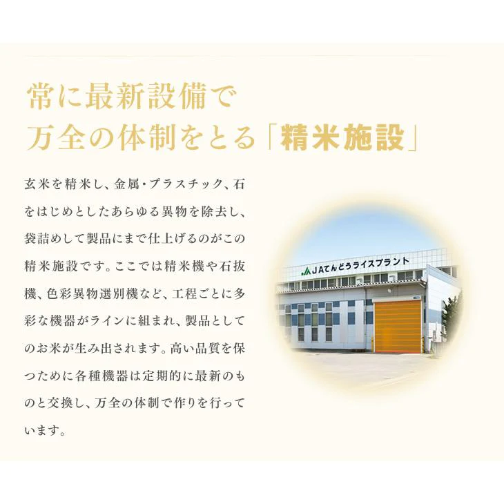 【山形県産米100％】 山形県産ブレンド米5kg×2【エコ得】