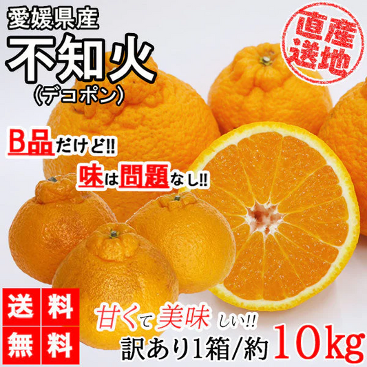 不知火 (デコポン) 訳あり 10kg 送料無料 ご家庭用 箱買い サイズミックス みかん 柑橘 フルーツ 果物 産地直送 愛媛県産 YDF-012