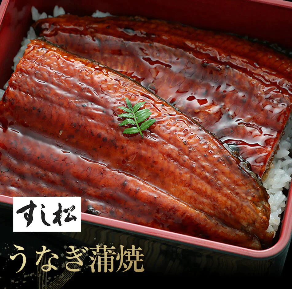 【超シェア買い祭】松屋 牛丼 鰻・牛めしコンボセット12個（プレミアム仕様牛めしの具×10　うなぎ 鰻 うなぎカット80g 2枚）ウナギ 鰻 うなぎ 鰻のかば焼き 鰻の蒲焼 蒲焼 かば焼き うなぎの蒲焼 土用 土用の丑の日 丑の日 牛丼 肉 業務用 惣菜 お弁当 絶品 お試し 仕送り 送料無料