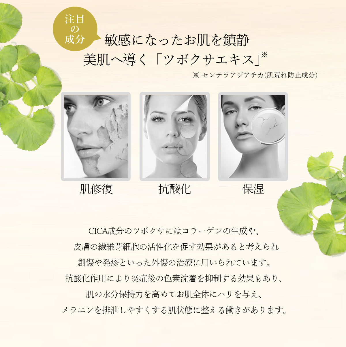 【超得ハイパーSALE】【5枚セット】 ナチュボーテ CICA プレミアム シートマスク 個包装 シカマスク フェイスパック フェイスマスク natubeaute シートパック 顔 マスク シートパック 韓国コスメ 韓国パック ナチュマスク ツボクサ スキンケア コスメ 化粧品 美容 シカ パック マスク メール便 送料無料