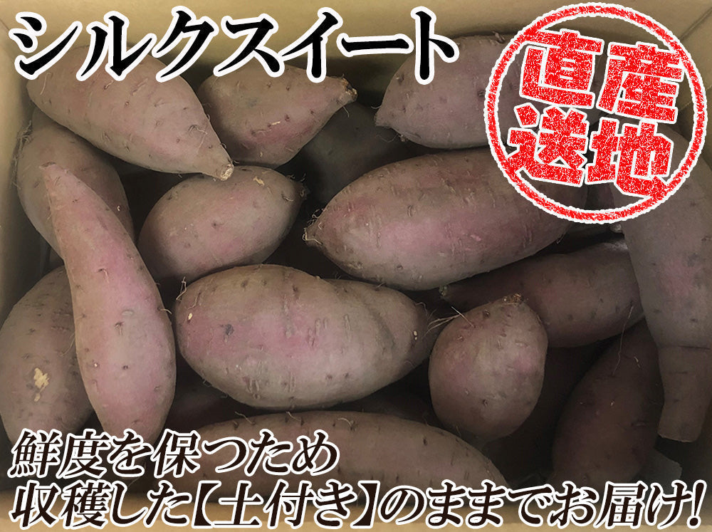 シルクスイート さつまいも 5kg 送料無料 産地直送 産直 土付き さつま芋 薩摩芋 焼きいも 焼き芋 石焼き芋 芋 いも イモ 鹿児島県産 ngs-004