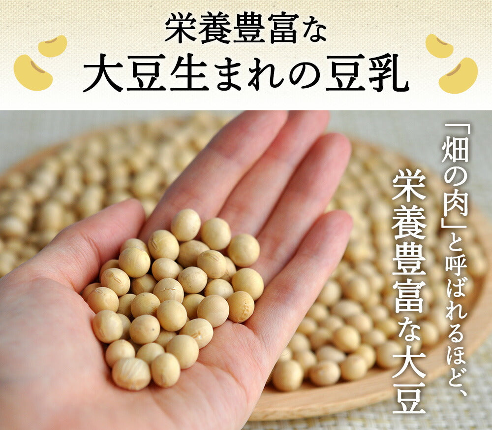 九州乳業　みどり豆乳　成分無調整豆乳　1L紙パック×6本［賞味期限：製造日より120日］［送料無料］【3~4営業日以内に出荷】ヘルシー 大豆 たんぱく質 イソフラボン アイス 糖質 1000ml 1リットル