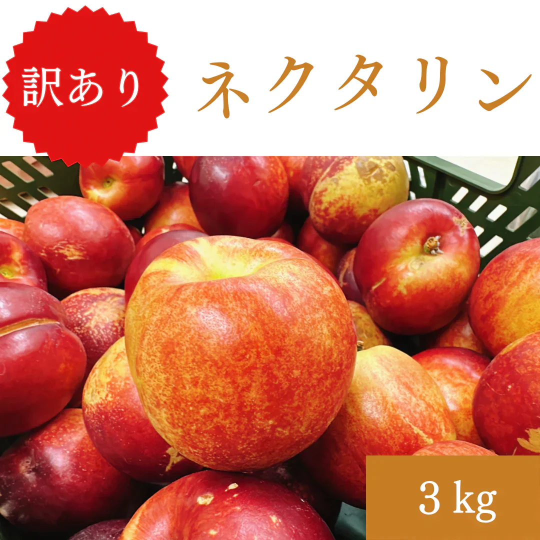 長野県産　訳ありネクタリン 3kg【6月中旬〜7月中旬順次出荷】