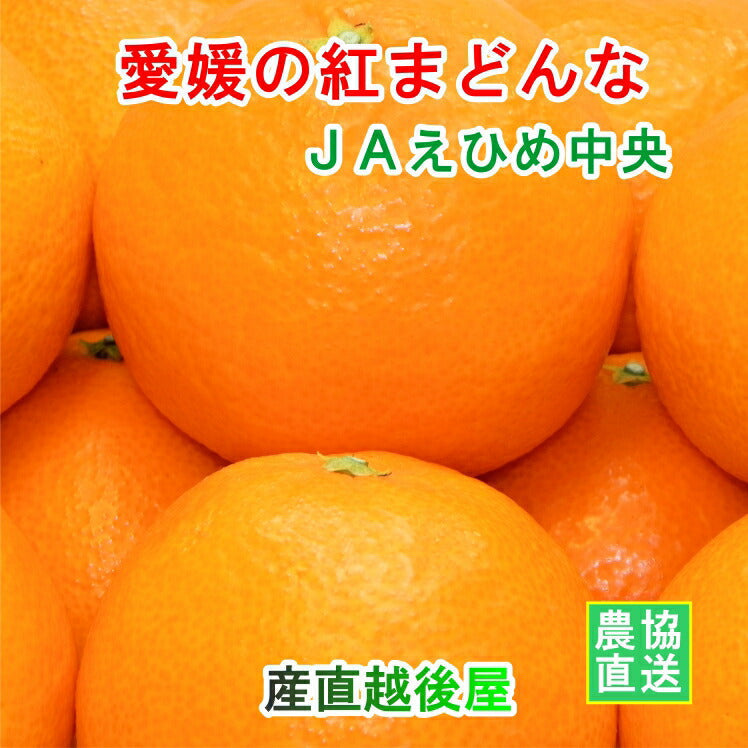【みかん 紅まどんな 愛媛県 送料無料】愛媛県の農協 JAえひめ中央 愛媛の紅まどんな 2.7kg農協産地直送便でお届け【ギフト 贈り物 プレゼント】