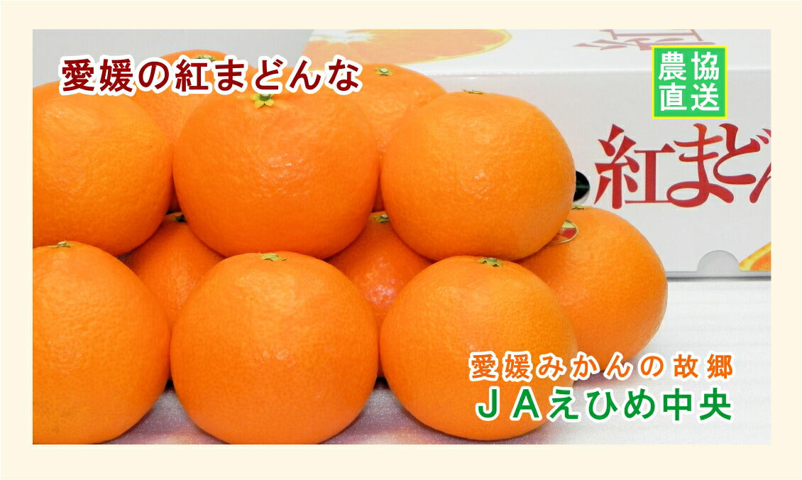 【みかん 紅まどんな 愛媛県 送料無料】愛媛県の農協 JAえひめ中央 愛媛の紅まどんな 2.7kg農協産地直送便でお届け【ギフト 贈り物 プレゼント】