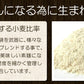 【最安値挑戦祭】播州そうめん240g×3袋 乾麺