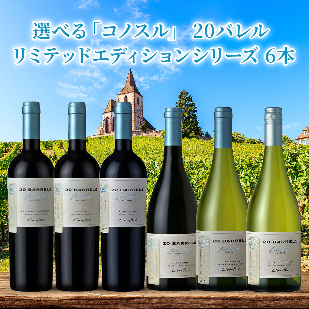 【送料無料】  選べる「コノスル」 20バレルシリーズ 6本[750ml×6本]【北海道・東北・九州・四国・沖縄県は必ず送料がかかります】 ワイン ワインセット