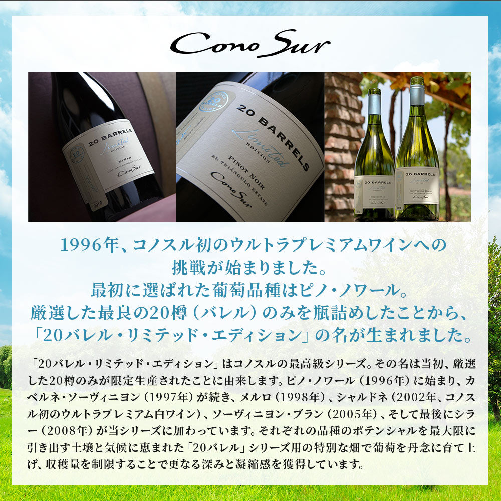 【送料無料】  選べる「コノスル」 20バレルシリーズ 6本[750ml×6本]【北海道・東北・九州・四国・沖縄県は必ず送料がかかります】 ワイン ワインセット