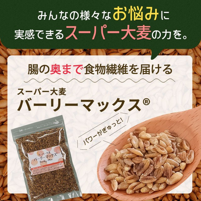400g スーパー大麦 バーリーマックス 送料無料