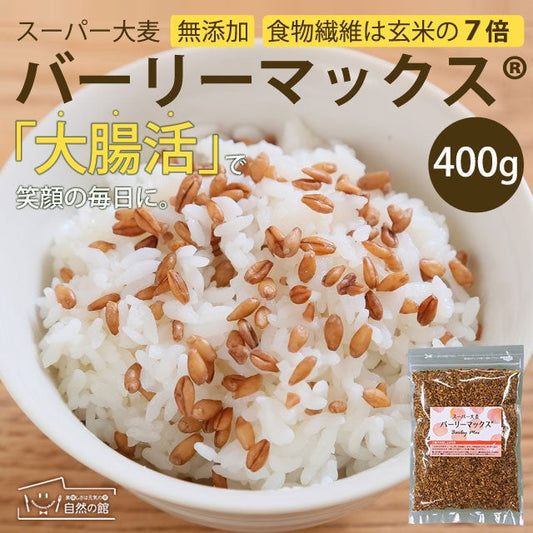 400g スーパー大麦 バーリーマックス 送料無料