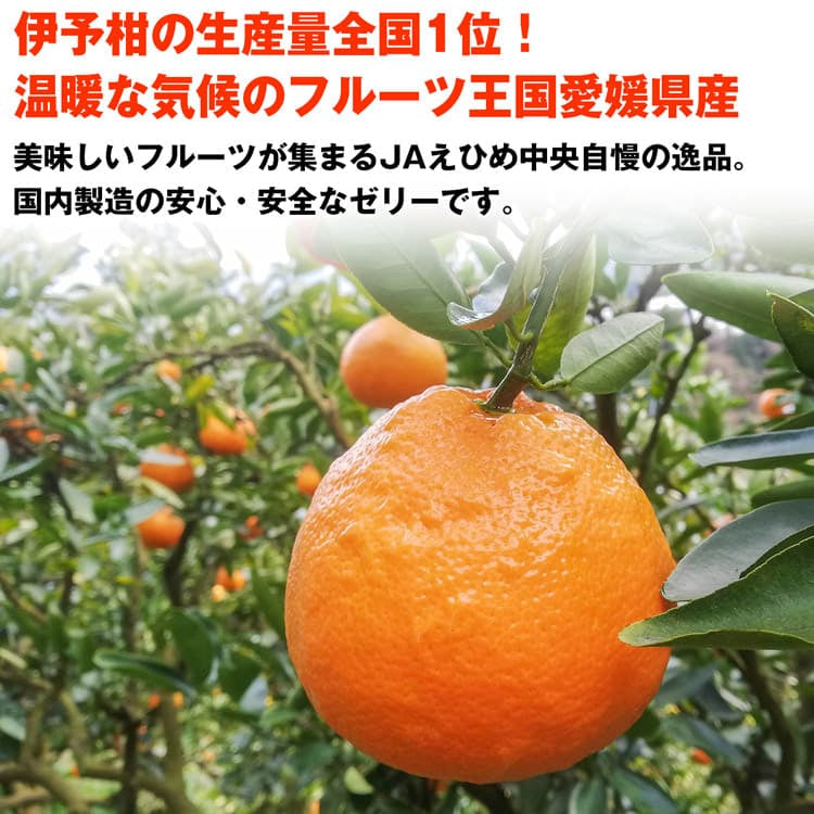 愛媛県産 飲む伊予柑ゼリー 詰め合わせ 24個 (6個入り×4箱) JAえひめ中央 常温便 同梱不可 指定日不可 柑橘 お取り寄せグルメ 食品 ギフト