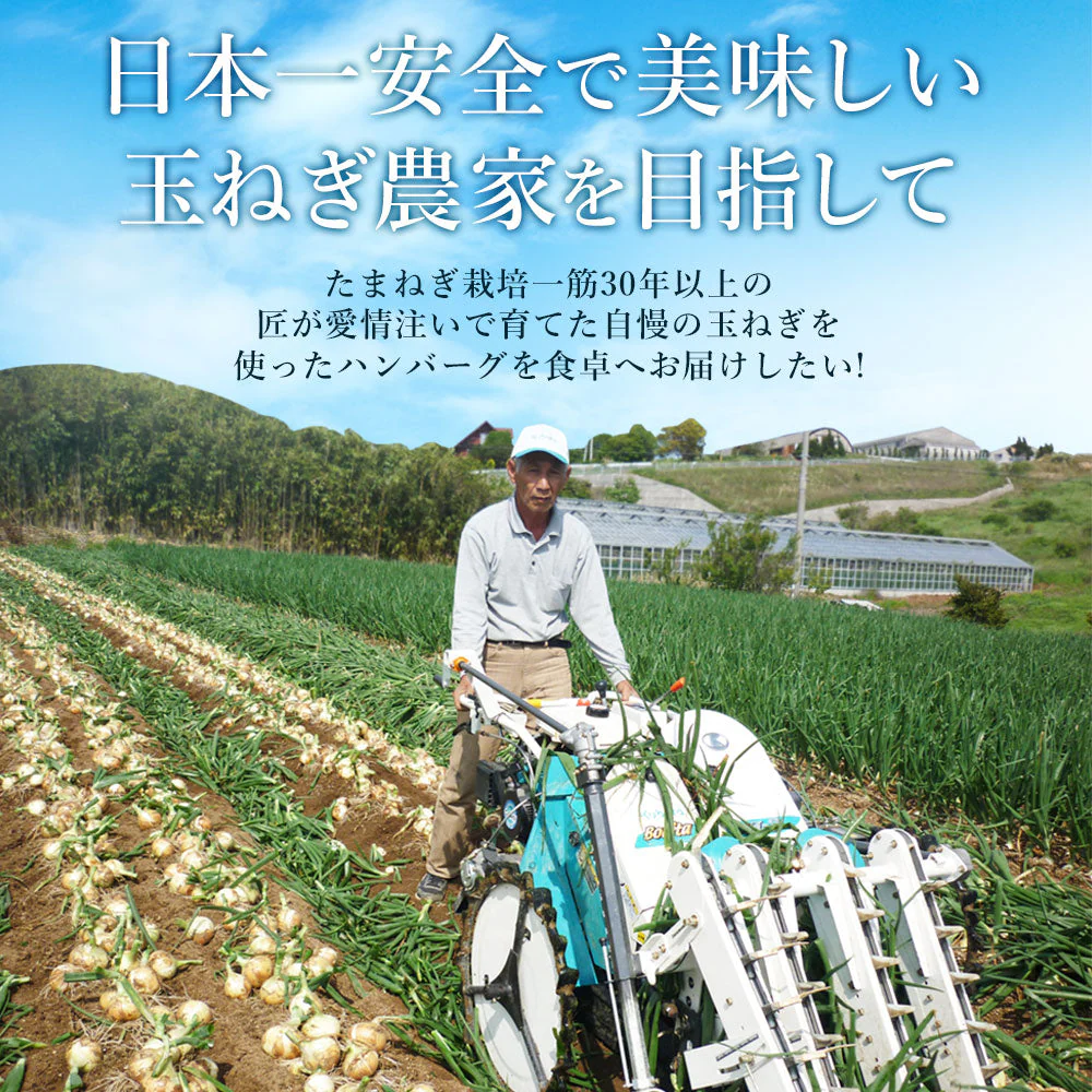 150ｇ×6個 淡路島玉葱どっさりハンバ－グ＃淡路島ハンバーグ6個ソース付き＃