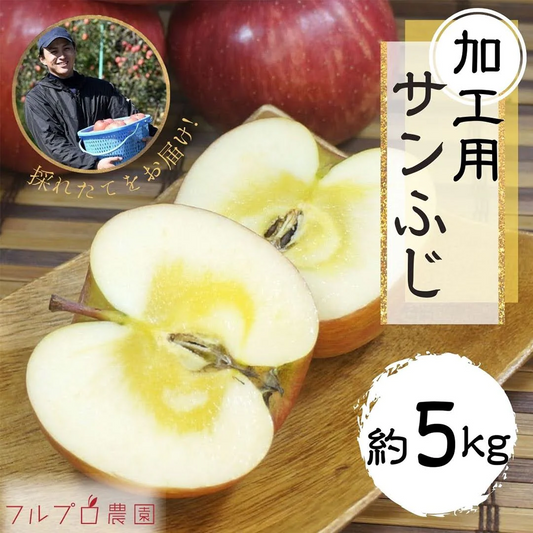 サンふじ 加工用 約5kg 12-28玉 ＃YAF0K050