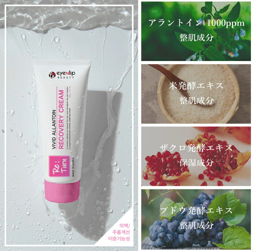 訳あり特価  ビビッド アラントイン リカバリークリーム 50ｇ  下地クリーム 栄養クリーム 美容液 くすみ ハリ 保湿 エイジングケア eyenlip アイアンリップ ワケあり わけあり スキンケア 韓国コスメ 定形外 送料込み