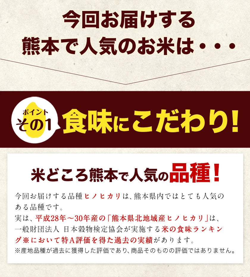 【熊本コレクション】【新米 令和4年産】ひのひかり 米 10kg 送料無料 (5kg ×2袋)【4年産】単一原料米 単一米 米 熊本県産 ヒノヒカリ コメ 精米 白米 《1-5営業日以内に発送予定(土日祝日除く)》