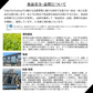 【超得ハイパーSALE】[48点]久順銘茶  白葡萄ジャスミン茶