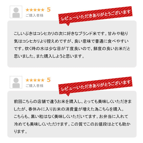 とれたて新米 8kg 新潟県産こしいぶき お米 令和４年産（本州：送料無料