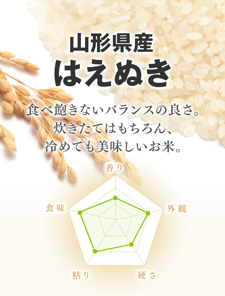 令和4年産 山形県産 はえぬき無洗米10kg(5kg×2) ※一部地域は別途送料追加 お米 コメ 米 JA rhm1004【家計お助けSALE】