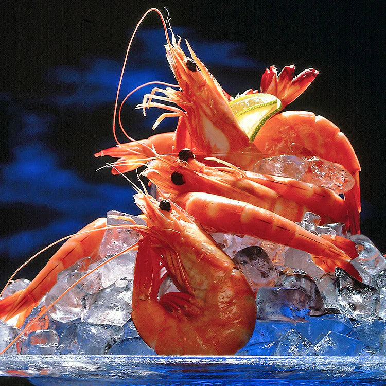 天使の海老 1kg 40~50尾入 送料無料 海老 えび エビ 生食用 刺身 冷凍便 お取り寄せグルメ 食品 ギフト 海鮮