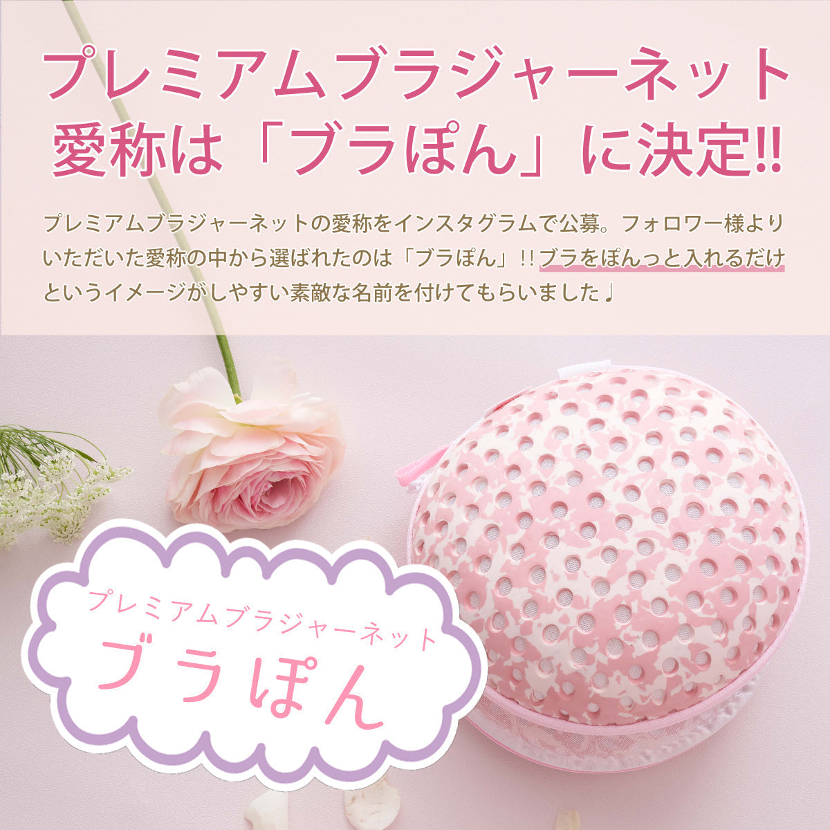 ブラぽん プレミアムブラジャーネット ミントブルー 洗濯ネット ブラネット PRBR7023 | マスク 型崩れ防止 型崩れ対策 旅行 下着 帰省 トラベルケース ブラネット 旅行用 洗濯 ワイヤー ぶらぽん ブラポン