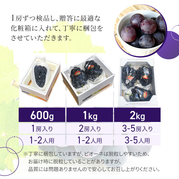【9月上旬順次発送】送料無料 岡山産 ピオーネ 2キロ 訳あり 3-5房入 ぶどう プレゼント お祝い ギフト【エコ得】